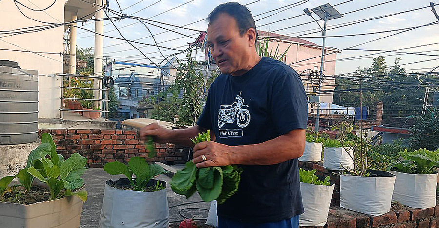 टाई-सुटमै खेतबारीमा पसिना: कृषि पेसा बाध्यता होइन, गर्वको पेसा हो